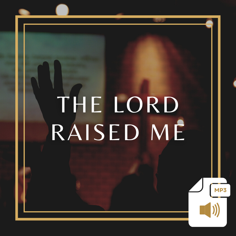 The Lord Raised Me Product Image