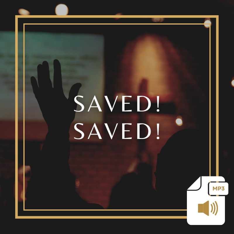 Saved! Saved! Product Image