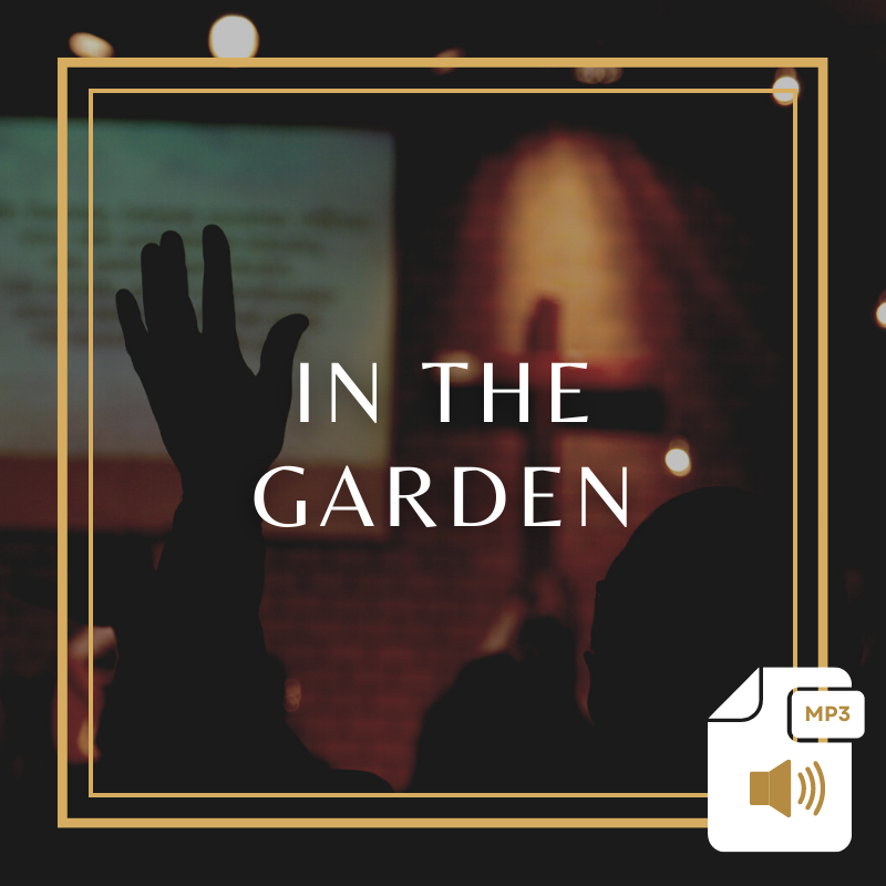 In the Garden Product Image