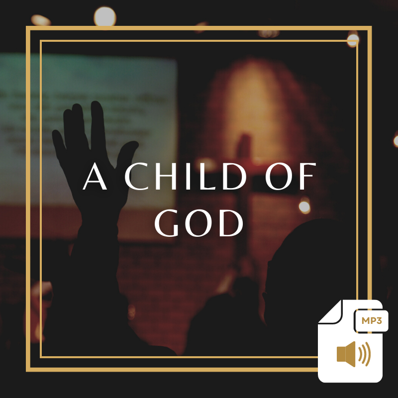 A Child of God Product Image